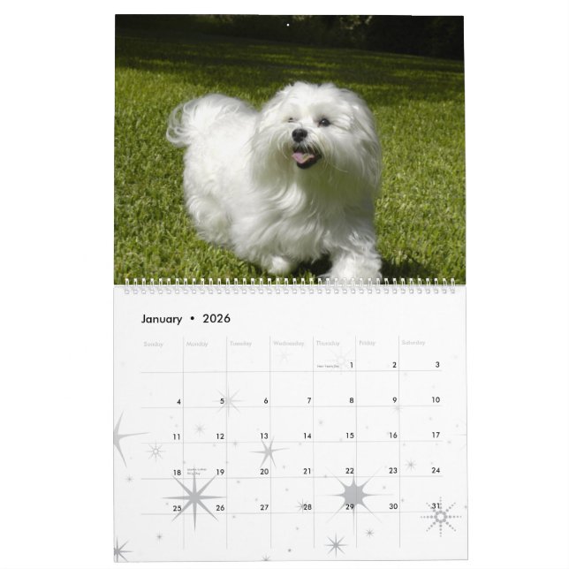 Customized Pet Calendar (Jan 2026)