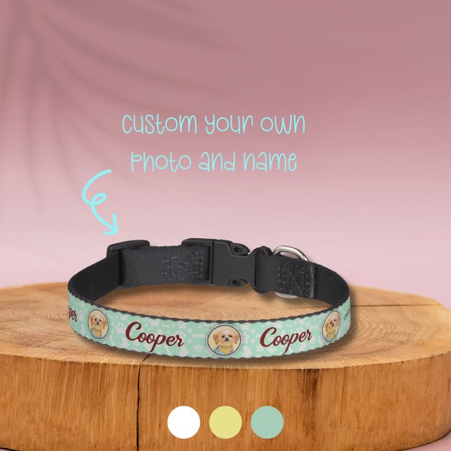 Customized Pet Collar with Portrait & Name (Creator Uploaded)
