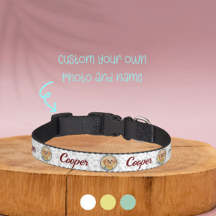 Customized Pet Collar with Portrait & Name