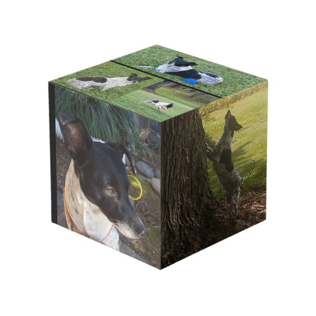 Customized Photo Cube (Front Angled)