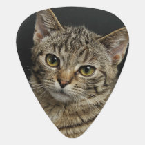 Customized Photo Guitar Pick Customized Photo Guitar Pick