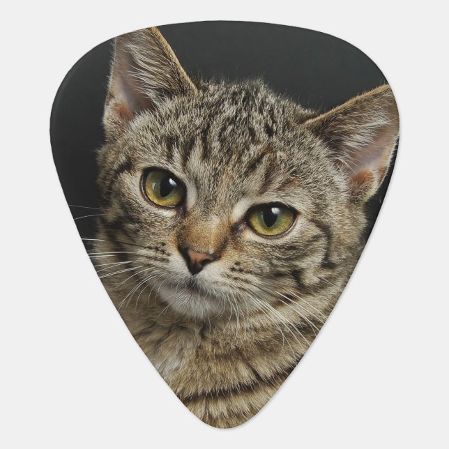 Customized Photo Guitar Pick (Front)