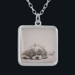 Customized Shih tzu Necklace, Sleeping Dog Silver Plated Necklace<br><div class="desc">Add a pic of your Shih tzu pic or keep the pic of the Sleeping Shih tzu.  Sleeping Shih tzu Necklace is the perfect gift for a Shih tzu lover or any dog lover. Cute Shihtzu gifts.</div>