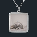 Customized Shih tzu Necklace, Sleeping Dog Silver Plated Necklace<br><div class="desc">Add a pic of your Shih tzu pic or keep the pic of the Sleeping Shih tzu.  Sleeping Shih tzu Necklace is the perfect gift for a Shih tzu lover or any dog lover. Cute Shihtzu gifts.</div>
