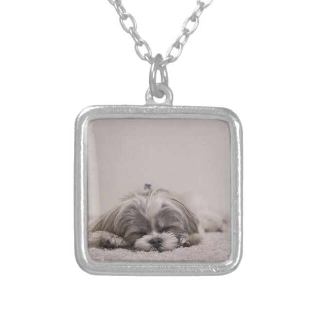 Customized Shih tzu Necklace, Sleeping Dog Silver Plated Necklace (Front)