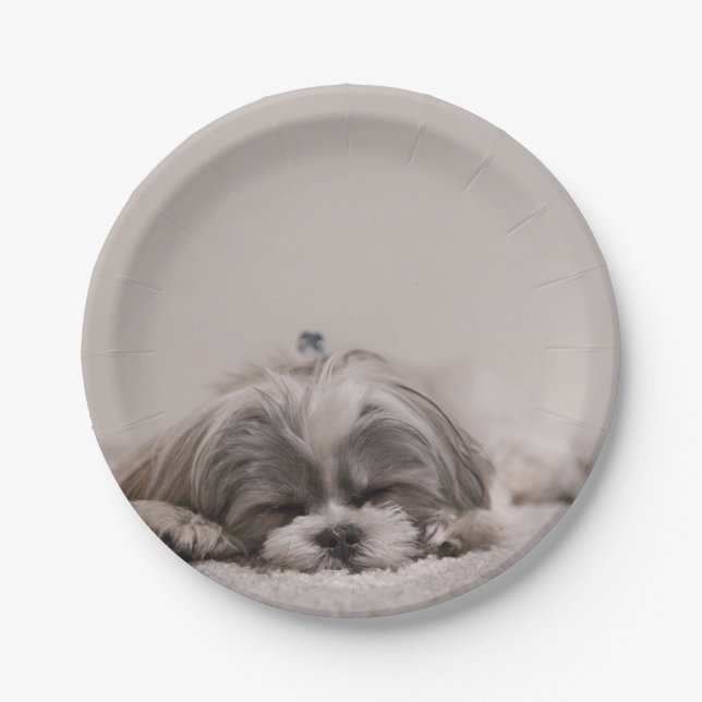 Customized Shih tzu Plate, Sleeping Dog Paper Plates (Front)