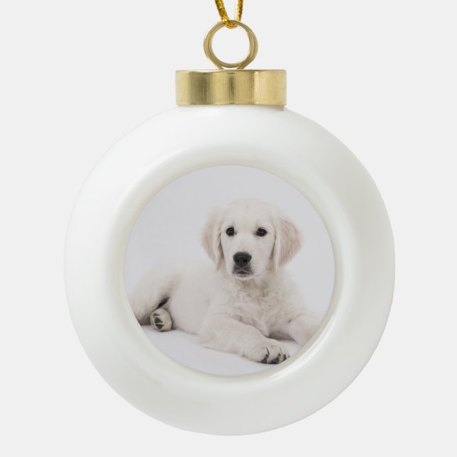 customized with photo pet memorial ceramic ball christmas ornament (Front)