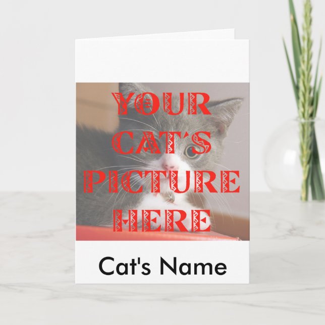 Customized Your Cat's Photo Card (Front)