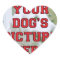 Customized Your Dog's Photo