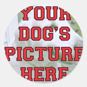 Customized Your Dog's Photo Classic Round Sticker