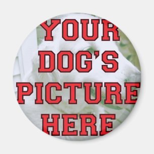 Customized Your Dog's Photo Magnet