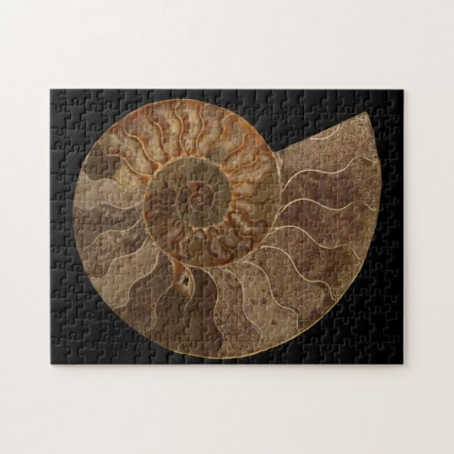 Cut Ammonite Fossil Jigsaw Puzzle