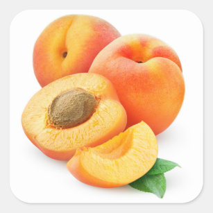 Cut apricots square sticker