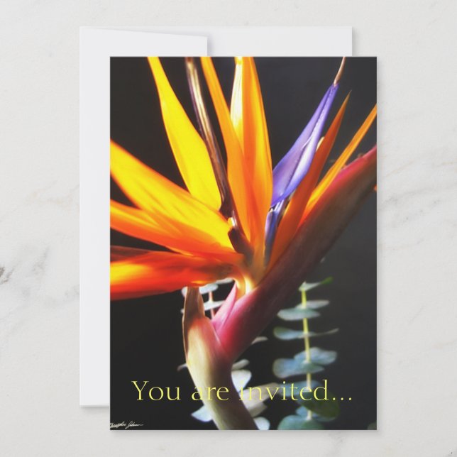 Cut Bird of Paradise Flowers 4 Invitation (Front)