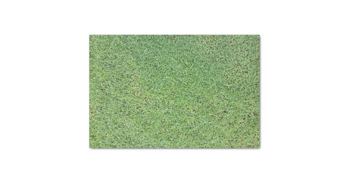 Cut Grass Lawn Tissue Paper Zazzle