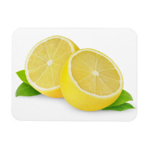 Cut lemon magnet