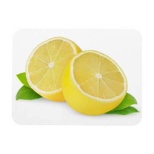 Cut lemon magnet