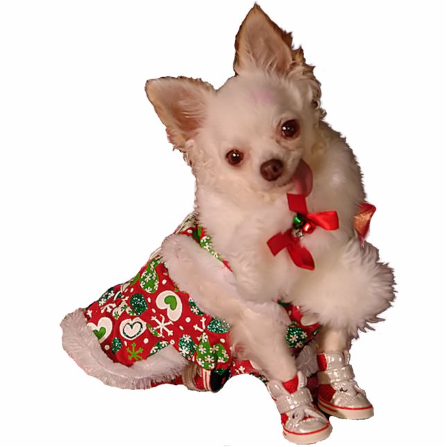 Cut Little Chihuahua Christmas Ornament Cutout (Front)