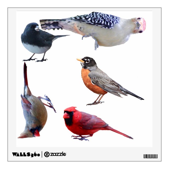 Cut-out birds wall decal (Front)