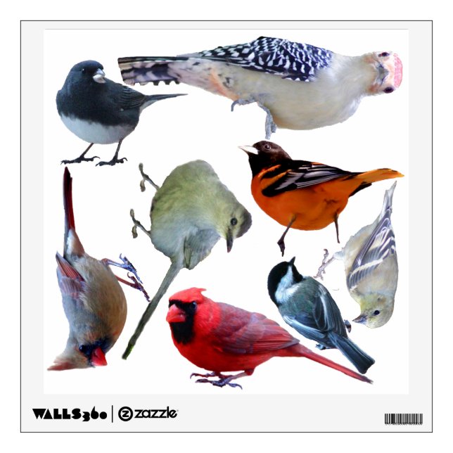 Cut-out birds wall decal (Front)