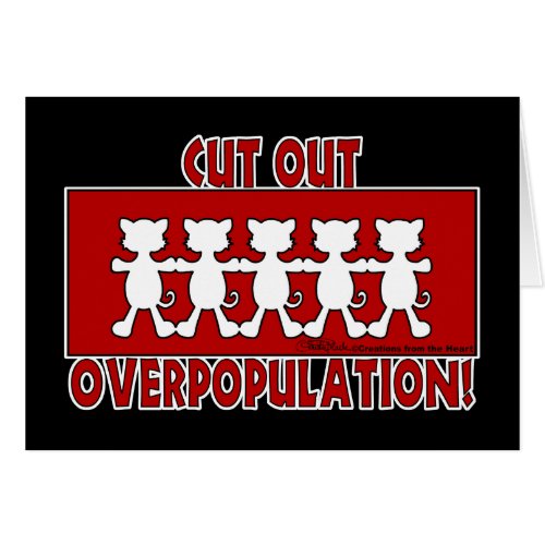 Cut Out Overpopulation Cats
