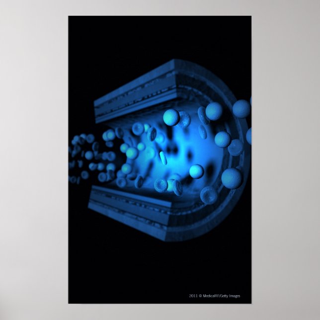 Cut view of blood cells in an artery poster (Front)