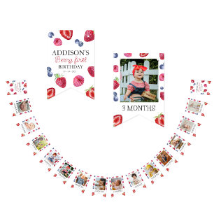 Cute 1st Birthday 12 Month Photo Milestone Bunting Flags