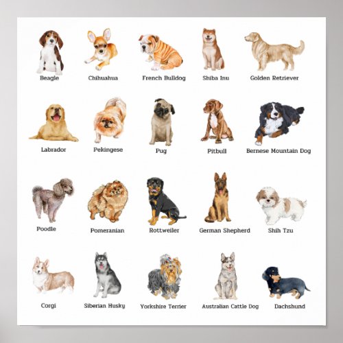 cute 20 dog breeds poster