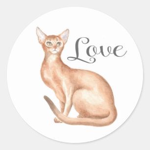 Cute Abyssinian Cat Mom Kitten Kitty Love Hello Classic Round Sticker