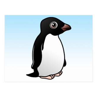 Adelie Penguin Postcard