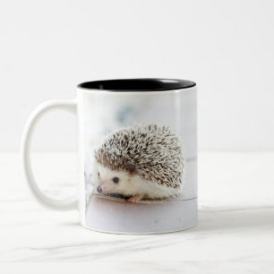 Cute adorable baby hedgehog Two-Tone coffee mug