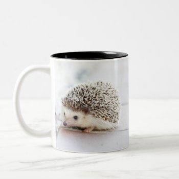 Cute Adorable Baby Hedgehog Two-tone Coffee Mug by storechichi at Zazzle