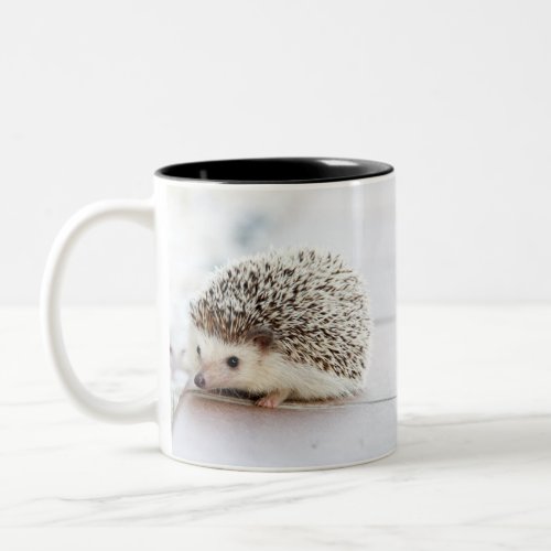 Cute adorable baby hedgehog Two_Tone coffee mug
