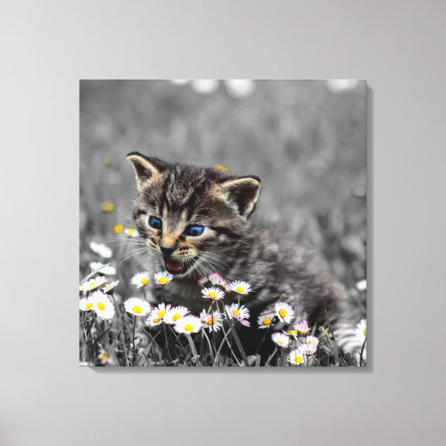 Cute Adorable Cat Kitten Canvas Print (Front)