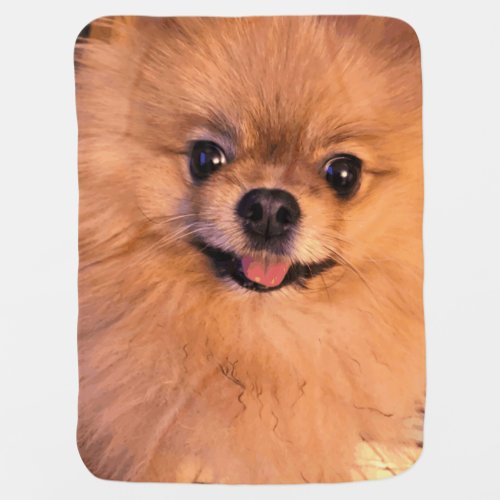 Cute Adorable Cuddly Pomeranian Pet Dog Animal Baby Blanket