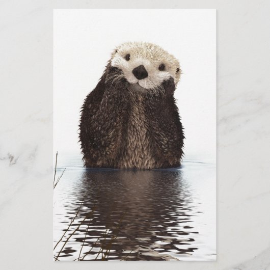 Cute Adorable Fluffy Otter Animal (Front)
