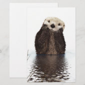 Cute Adorable Fluffy Otter Animal (Front/Back)
