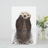 Cute Adorable Fluffy Otter Animal (Standing Front)