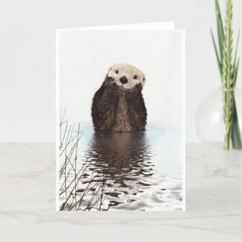 Cute Adorable Fluffy Otter Animal Card by InovArtS at Zazzle