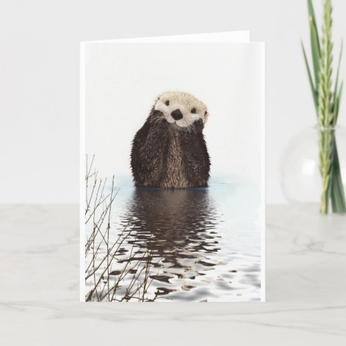 Cute Adorable Fluffy Otter Animal Card