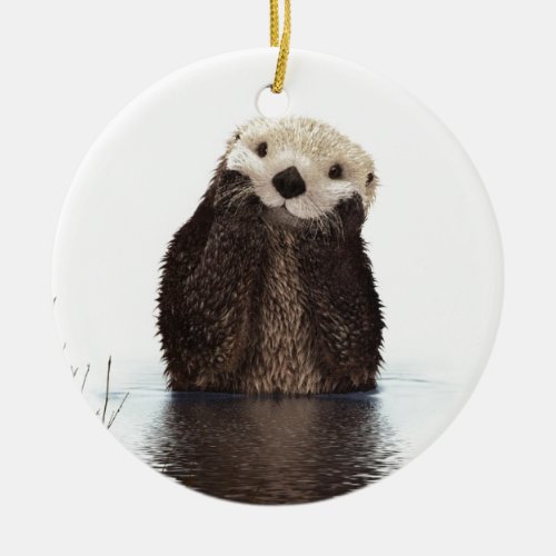 Cute Adorable Fluffy Otter Animal Ceramic Ornament