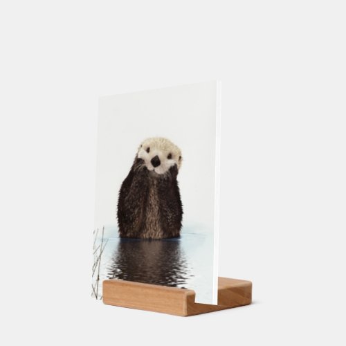 Cute Adorable Fluffy Otter Animal Holder