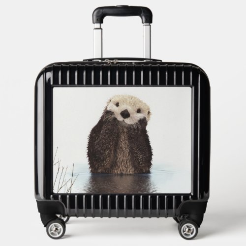 Cute Adorable Fluffy Otter Animal Luggage