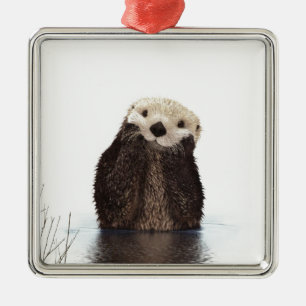 Cute Adorable Fluffy Otter Animal Metal Ornament