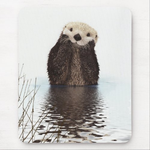 Cute Adorable Fluffy Otter Animal Mouse Pad