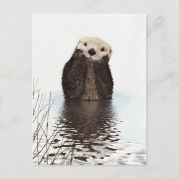 Cute Adorable Fluffy Otter Animal Postcard by InovArtS at Zazzle