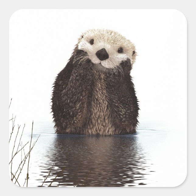 Cute Adorable Fluffy Otter Animal Square Sticker (Front)