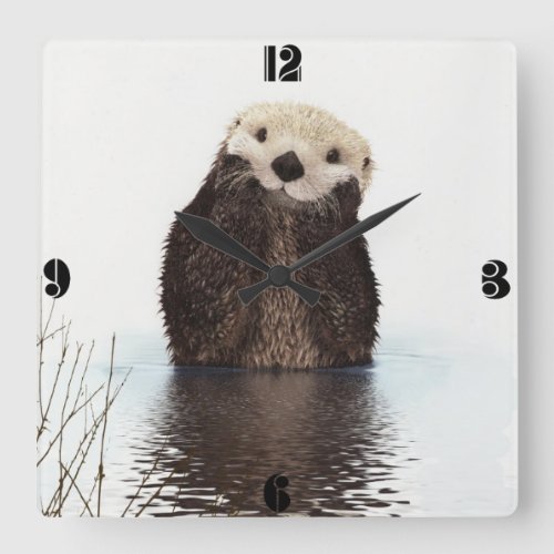 Cute Adorable Fluffy Otter Animal Square Wall Clock