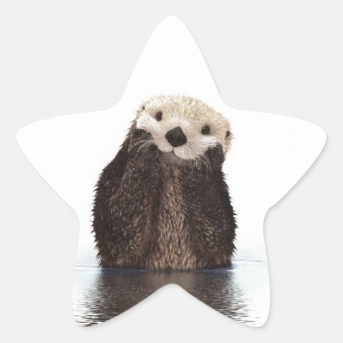 Cute Adorable Fluffy Otter Animal Star Sticker