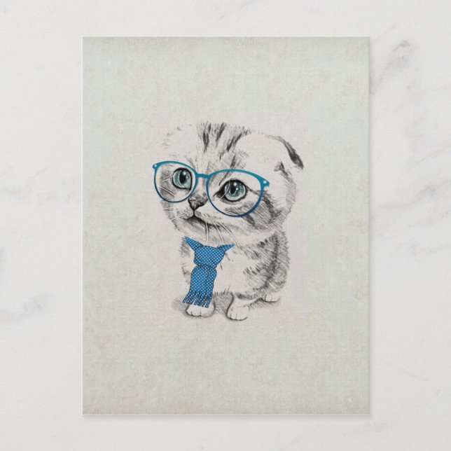 Cute adorable funny trendy blue eyes kitten postcard (Front)
